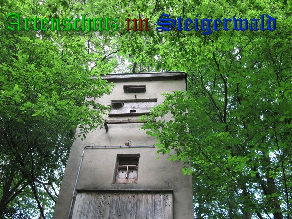 Bild zum Eintrag (38420-160)
