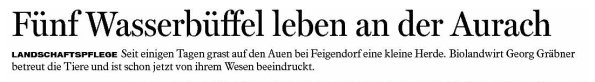 Copyright AiS - FT Bild zum Eintrag (38582-160)