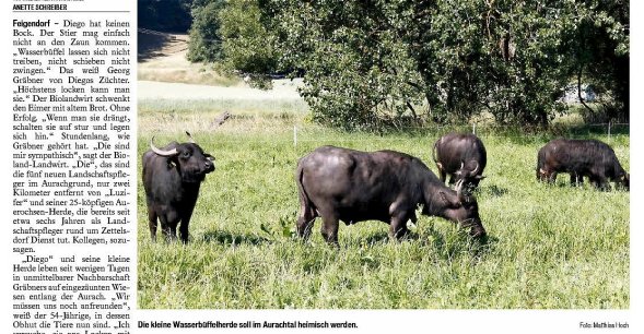 Copyright AiS - FT - Matthias Hoch Bild zum Eintrag (38583-160)