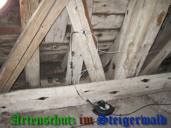 Bild zum Eintrag (38620-160)