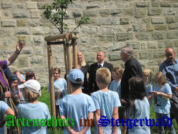 Copyright AiS- Albert Meier Bild zum Eintrag (38883-160)