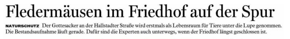 Copyright AiS - FT Bild zum Eintrag (38930-160)