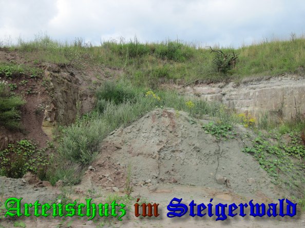 Bild zum Eintrag (39318-160)