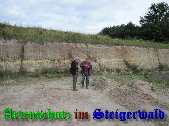 Bild zum Eintrag (39319-160)