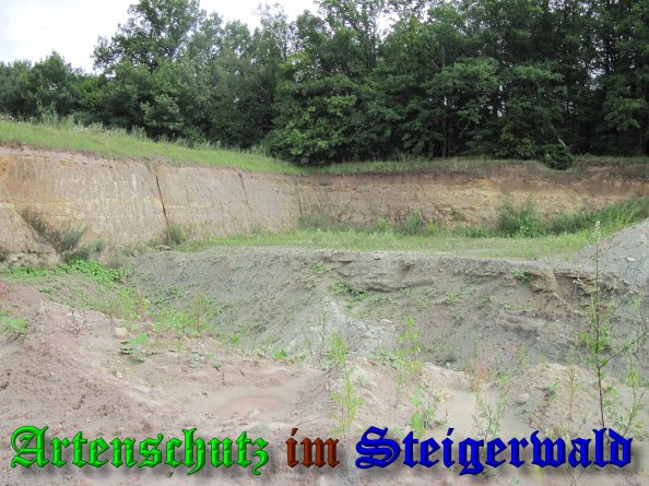 Bild zum Eintrag (39321-160)