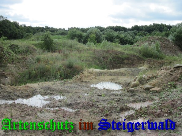 Bild zum Eintrag (39323-160)