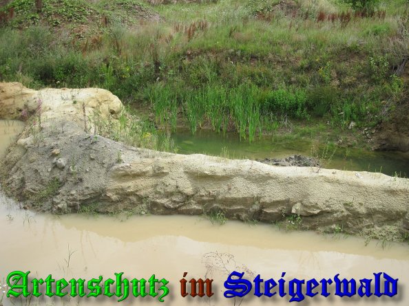 Bild zum Eintrag (39324-160)