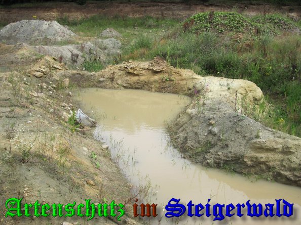 Bild zum Eintrag (39325-160)