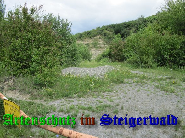 Bild zum Eintrag (39343-160)