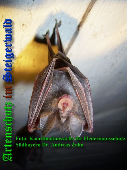 Copyright AiS - KFF SB Bild zum Eintrag (39454-160)