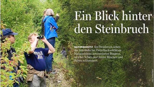 Copyright AiS- Die Kitzinger - Bauer Bild zum Eintrag (39495-160)
