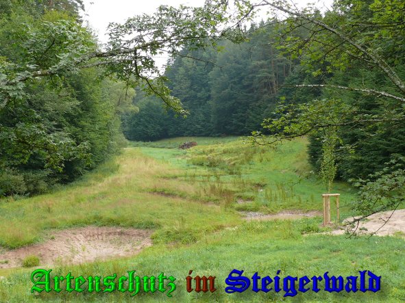 Bild zum Eintrag (39593-160)