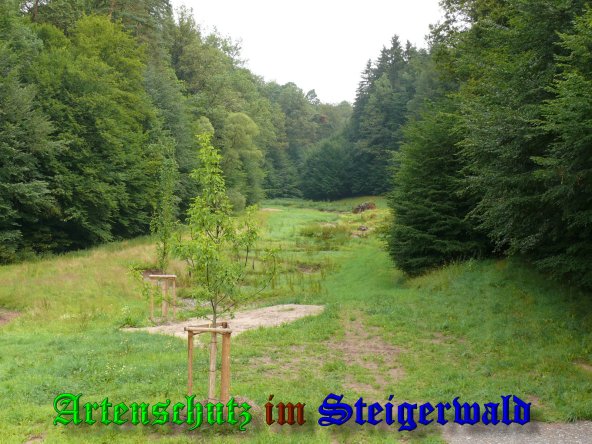 Bild zum Eintrag (39594-160)