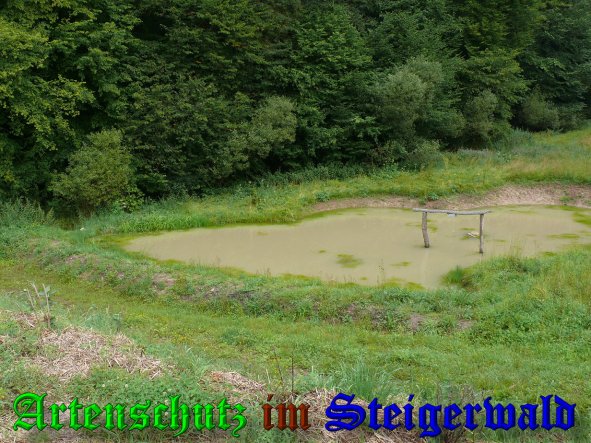 Bild zum Eintrag (39595-160)