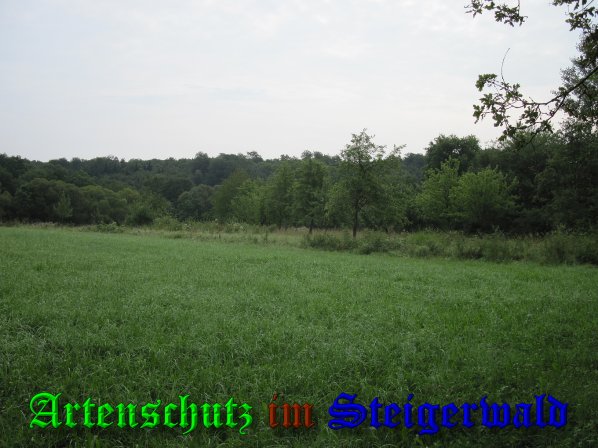 Bild zum Eintrag (39650-160)