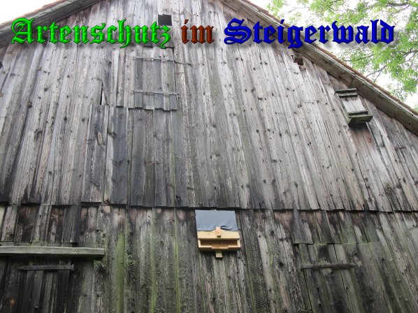 Bild zum Eintrag (39659-160)