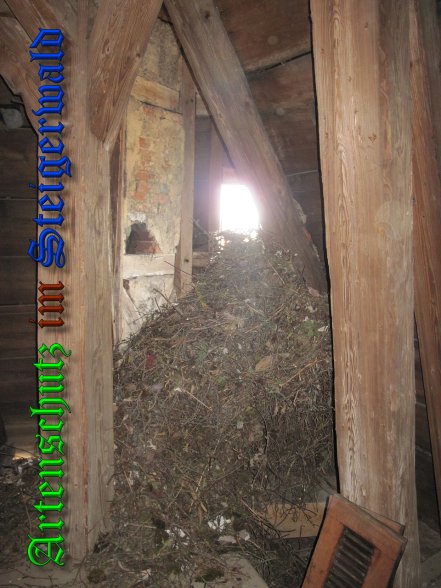Bild zum Eintrag (39805-160)