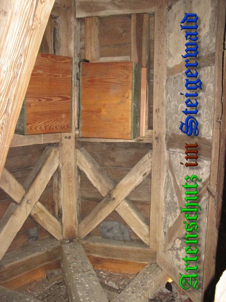 Bild zum Eintrag (39817-160)