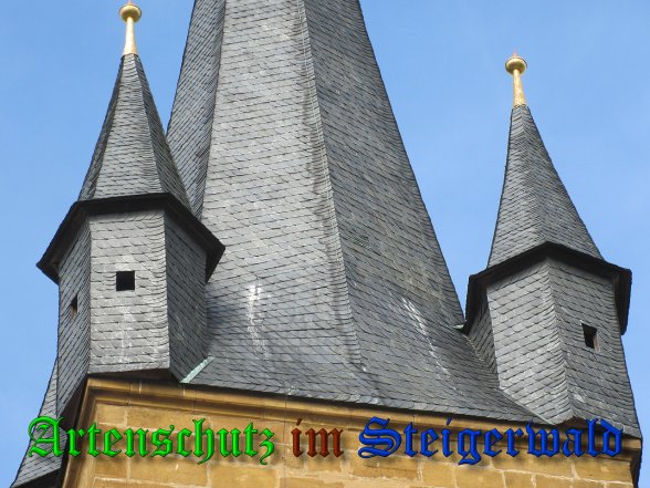 Bild zum Eintrag (39818-160)