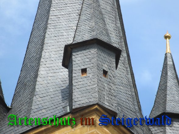Bild zum Eintrag (39819-160)