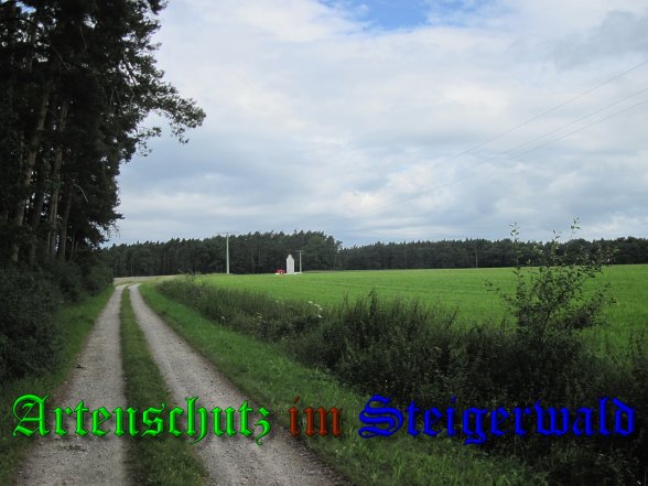 Bild zum Eintrag (39951-160)