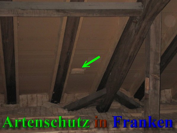 Bild zum Eintrag (40158-160)