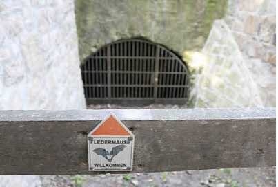 Copyright AiS-Fränkischer Tag / Flegel Bild zum Eintrag (40190-160)