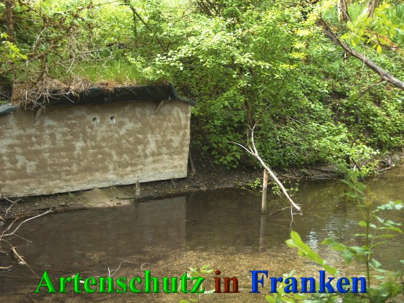 Bild zum Eintrag (40438-160)