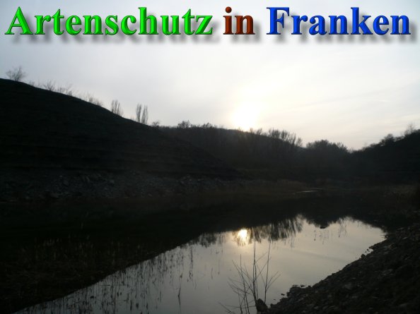 Copyright AiS - Drenkard Bild zum Eintrag (40493-160)
