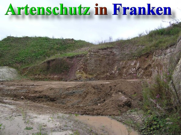 Bild zum Eintrag (40782-160)