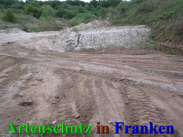 Bild zum Eintrag (40783-160)
