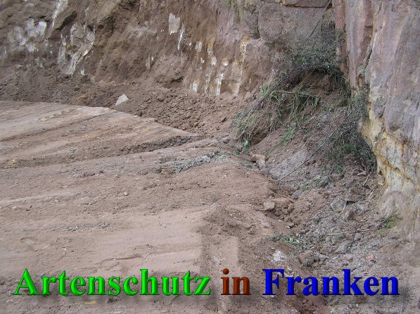 Bild zum Eintrag (40785-160)