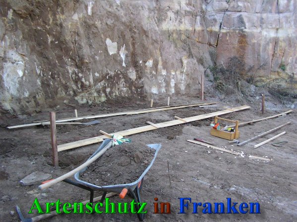 Bild zum Eintrag (40838-160)