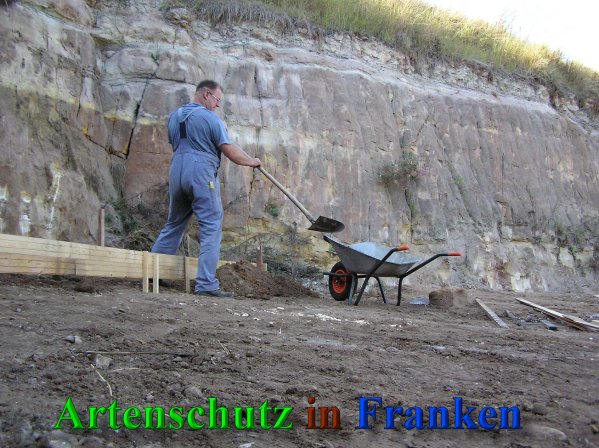 Bild zum Eintrag (40839-160)
