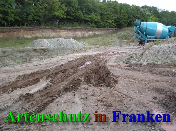 Bild zum Eintrag (40867-160)