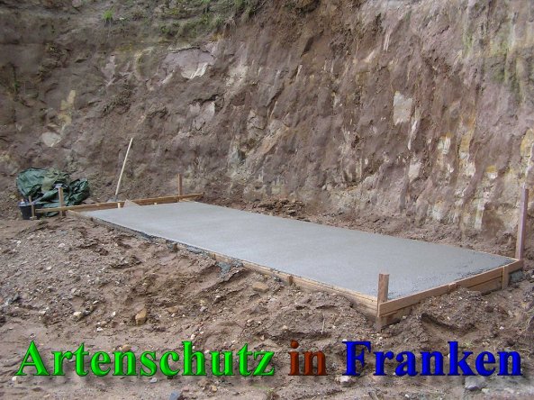 Bild zum Eintrag (40869-160)