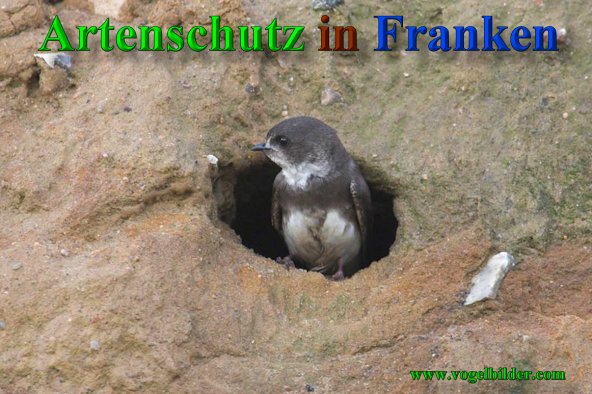 Bild zum Eintrag (40870-160)