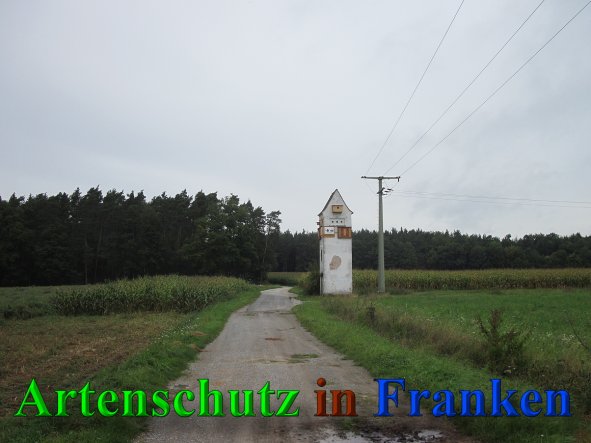 Bild zum Eintrag (40898-160)