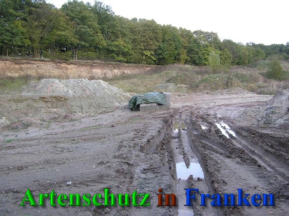 Bild zum Eintrag (41336-160)