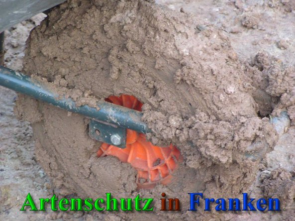 Bild zum Eintrag (41337-160)