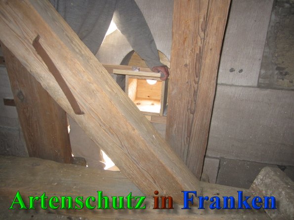 Bild zum Eintrag (41362-160)