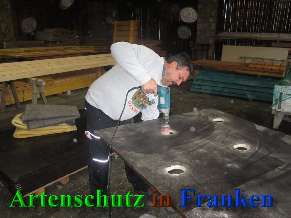 Bild zum Eintrag (41372-160)