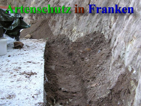 Bild zum Eintrag (41401-160)