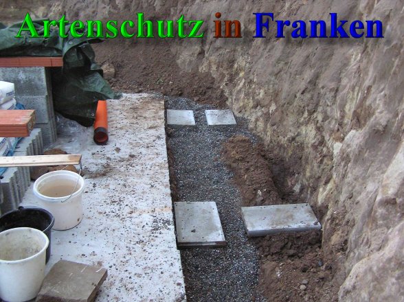 Bild zum Eintrag (41402-160)