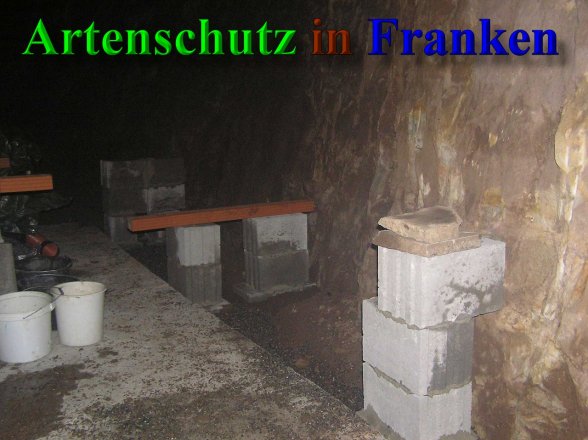 Bild zum Eintrag (41403-160)