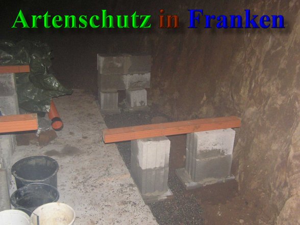 Bild zum Eintrag (41404-160)