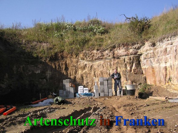 Bild zum Eintrag (41444-160)