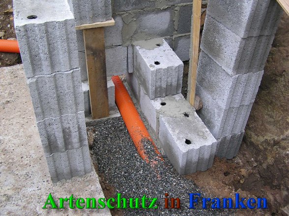 Bild zum Eintrag (41446-160)