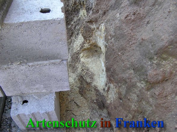 Bild zum Eintrag (41447-160)