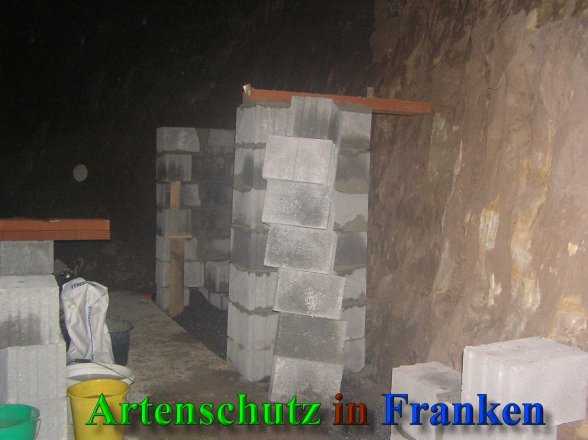 Bild zum Eintrag (41448-160)